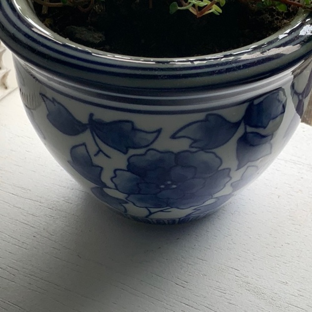 1 NEW NWT NIB LEFT  planter vase diameter 5” height 3.5 no drainage opening - Picture 7 of 9